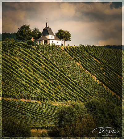 _DSC0175-Edit