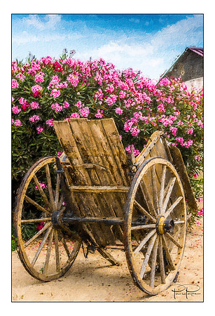 GardenCartinFrance copy