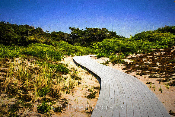 Fire Island NY