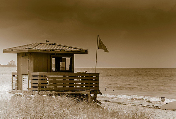 Life Guard Shack
